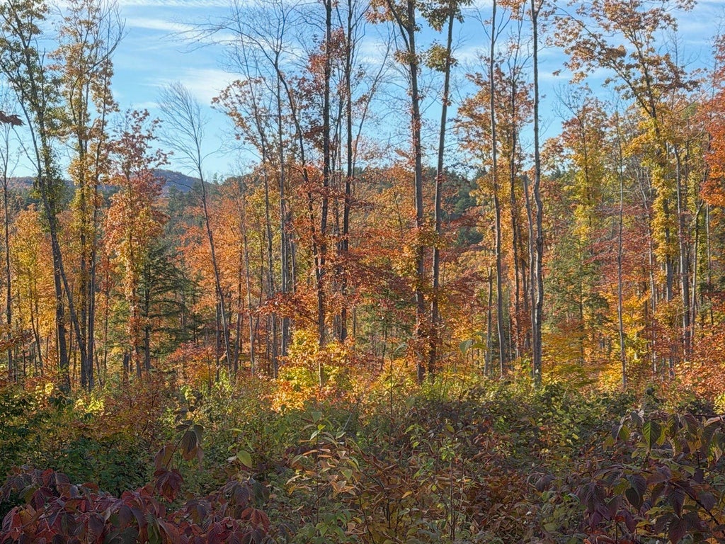 Photo of 0 Colby Road, Meredith, NH 03253 (MLS # 5115425)