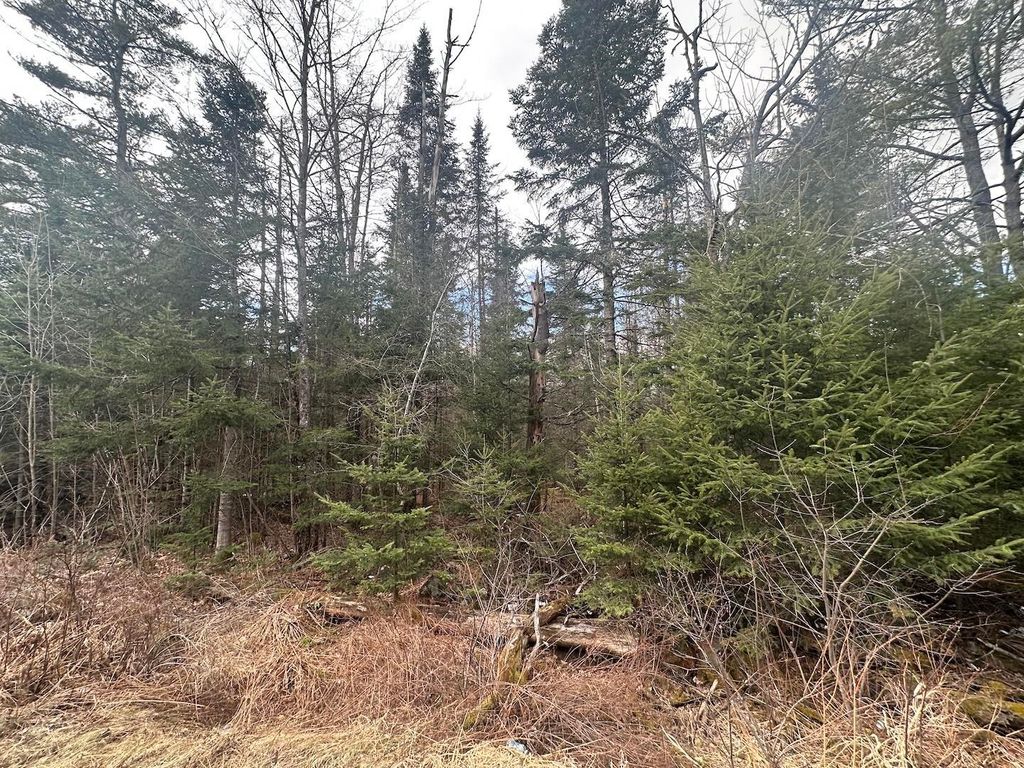 Photo of 0 North Littleton Road, Littleton, NH 03561 (MLS # 5094681)