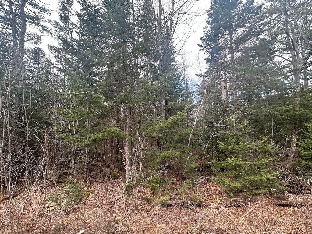 Photo of 0 North Littleton Road, Littleton, NH 03561 (MLS # 5094681)