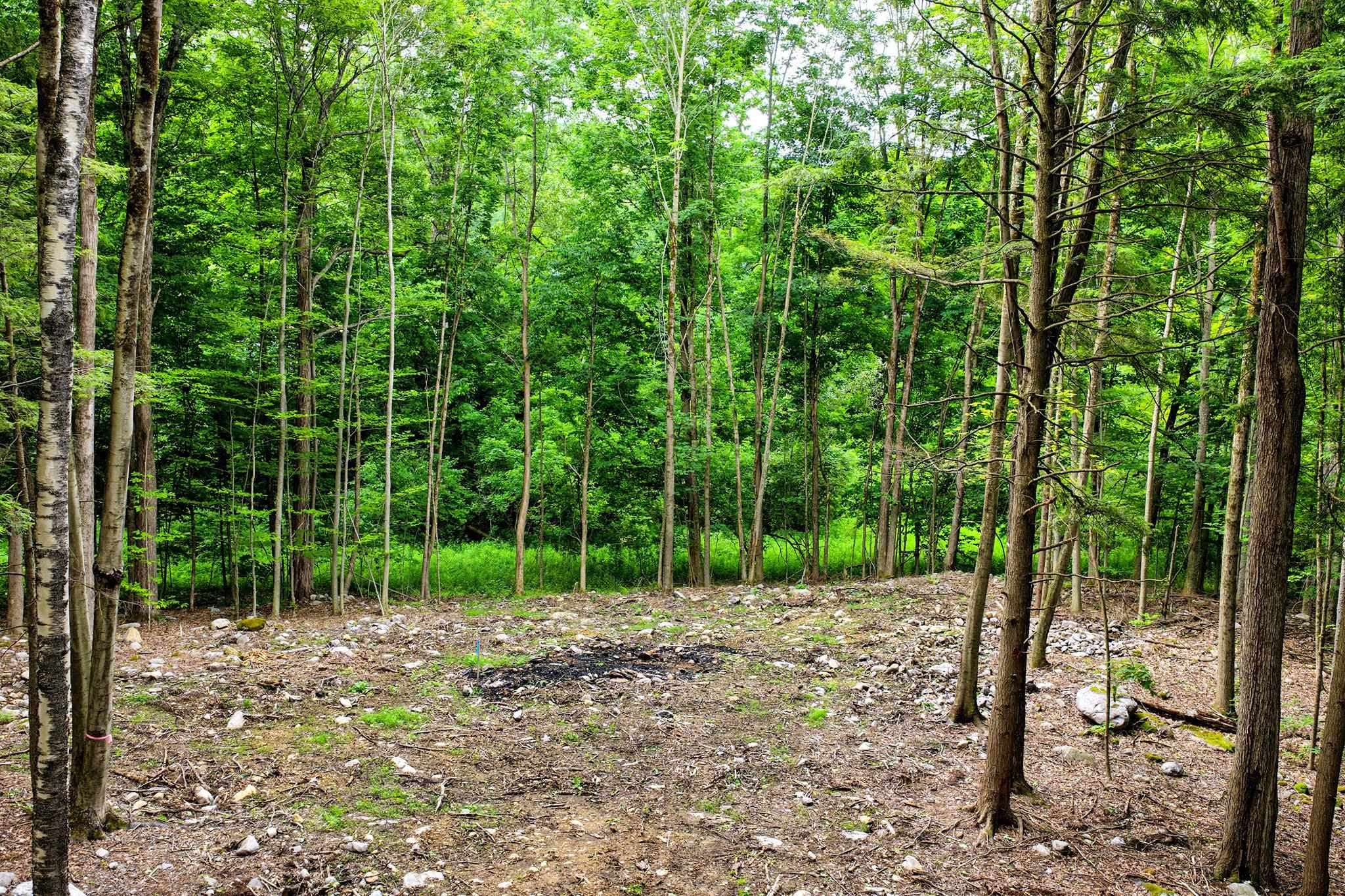 0 Cedar Lane Lot #4