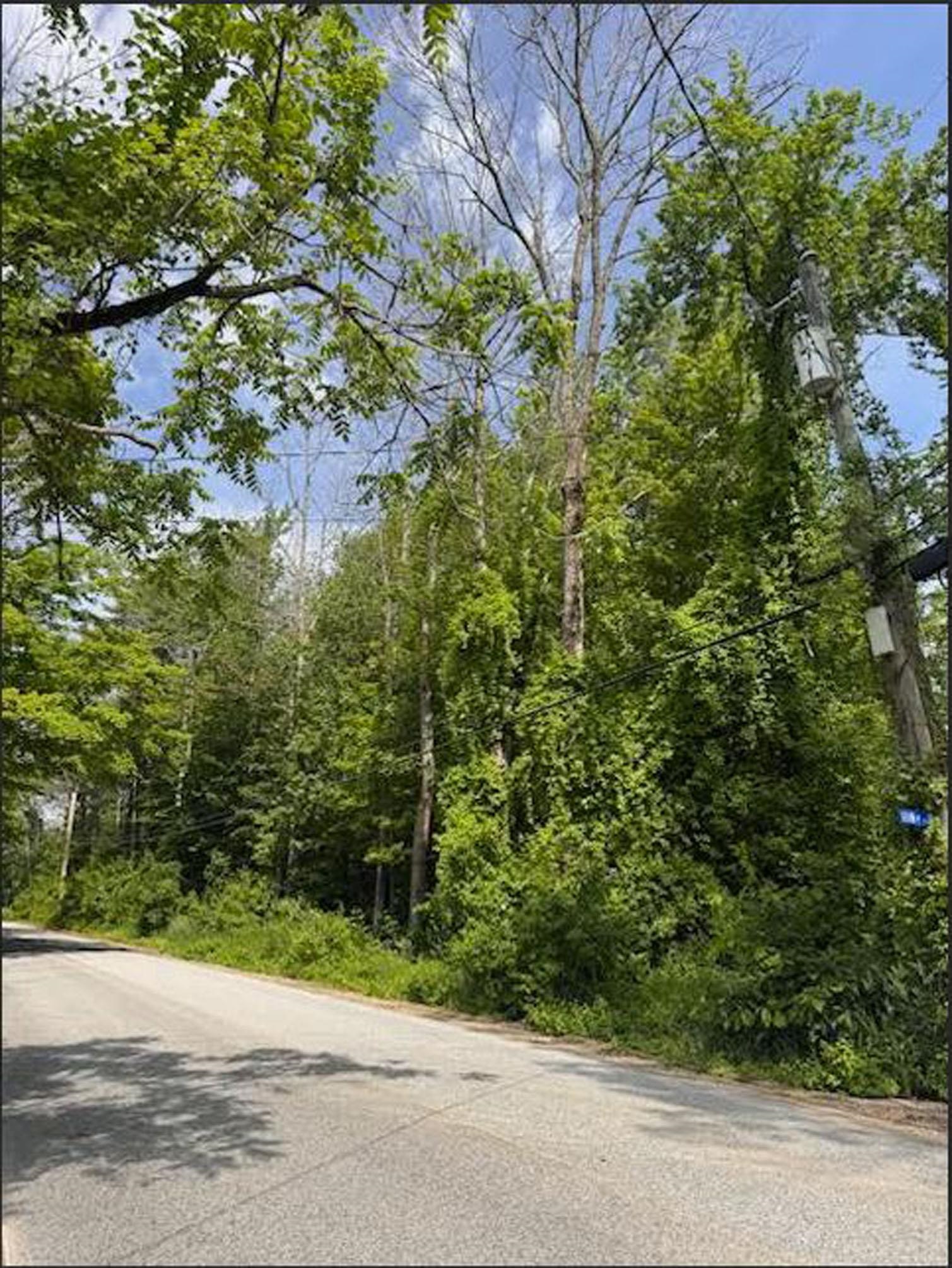 5 Brian Road