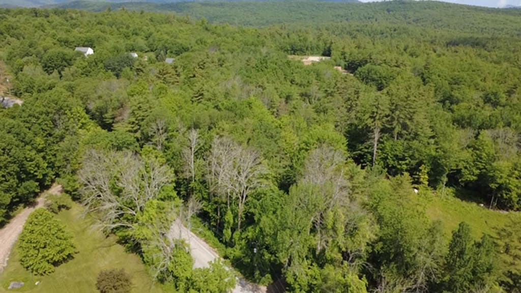 Photo of 5 Brian Road, Ossipee, NH 03864 (MLS # 5094696)
