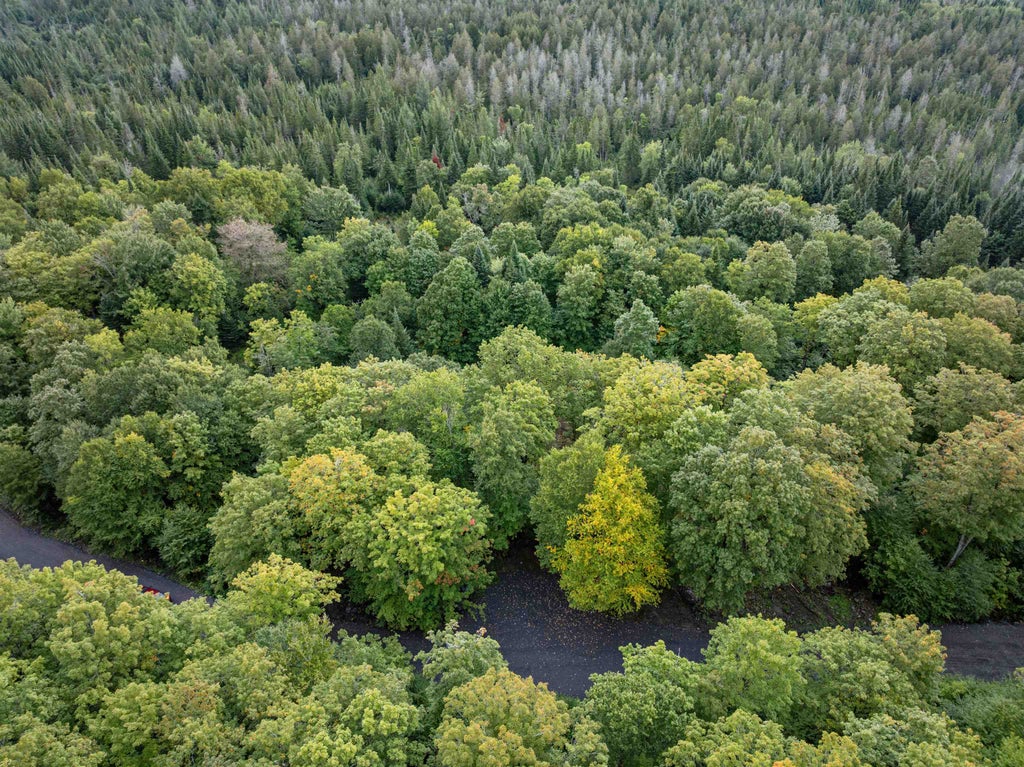 Photo of 8 Wood Yard Crossing, Pittsburg, NH 03592 (MLS # 5110332)