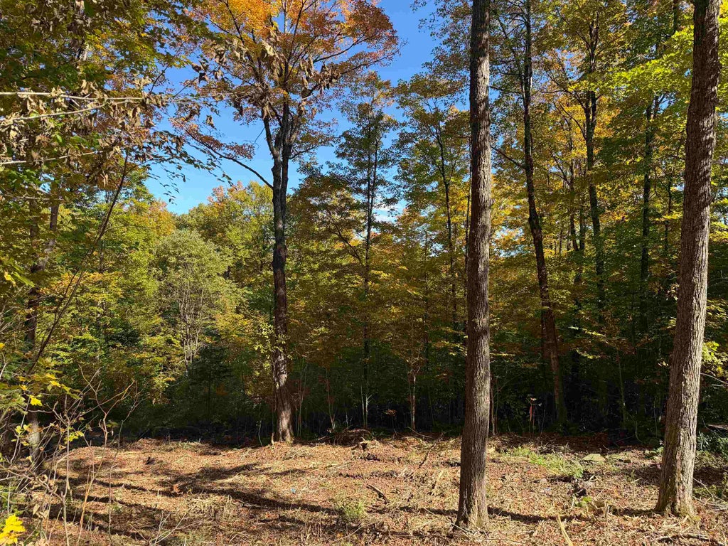 Photo of 8 Wood Yard Crossing, Pittsburg, NH 03592 (MLS # 5110332)