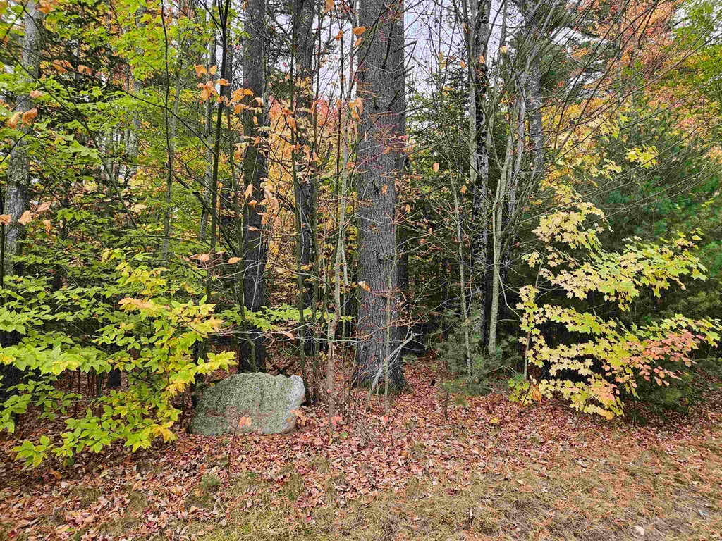 Photo of 20 Point of View Drive, Franconia, NH 03580 (MLS # 5086662)