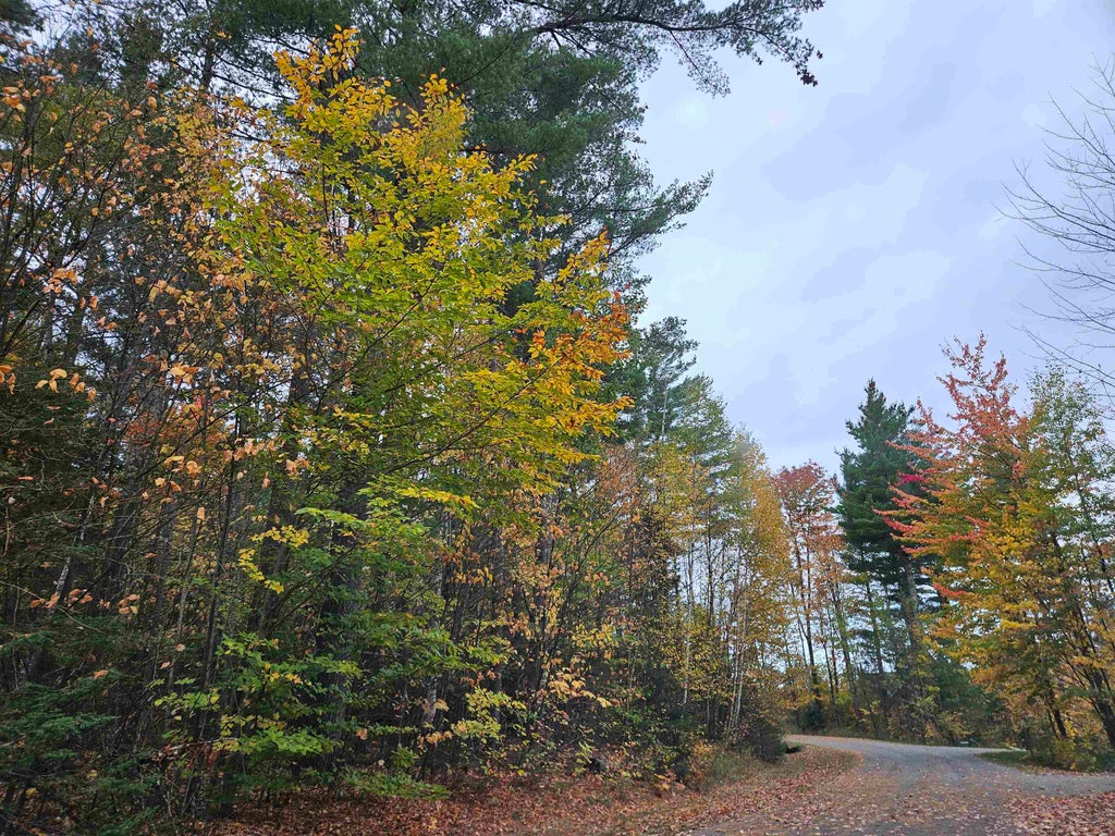 Photo of 20 Point of View Drive, Franconia, NH 03580 (MLS # 5086662)
