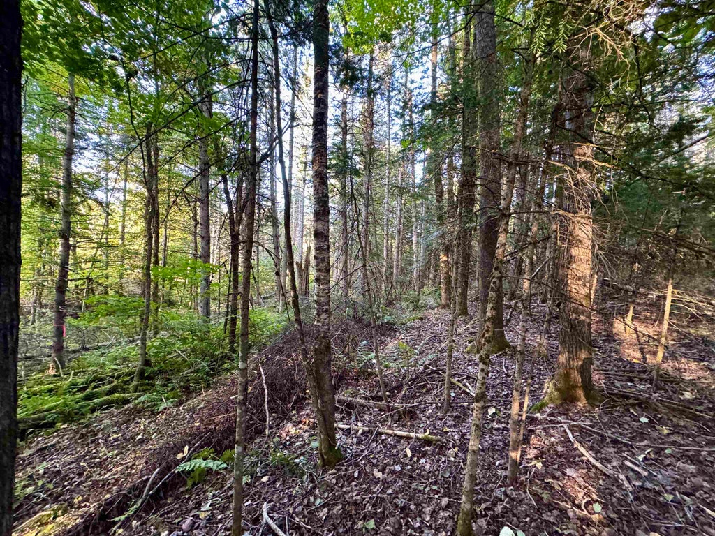 Photo of 6 Jennings Road, Colebrook, NH 03576 (MLS # 5114892)