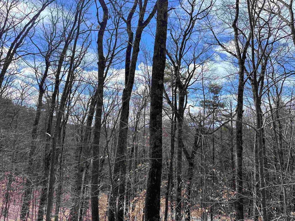 Photo of 19 Saint Moritz Drive, Madison, NH 03849 (MLS # 5113209)