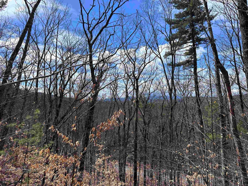 Photo of 19 Saint Moritz Drive, Madison, NH 03849 (MLS # 5113209)