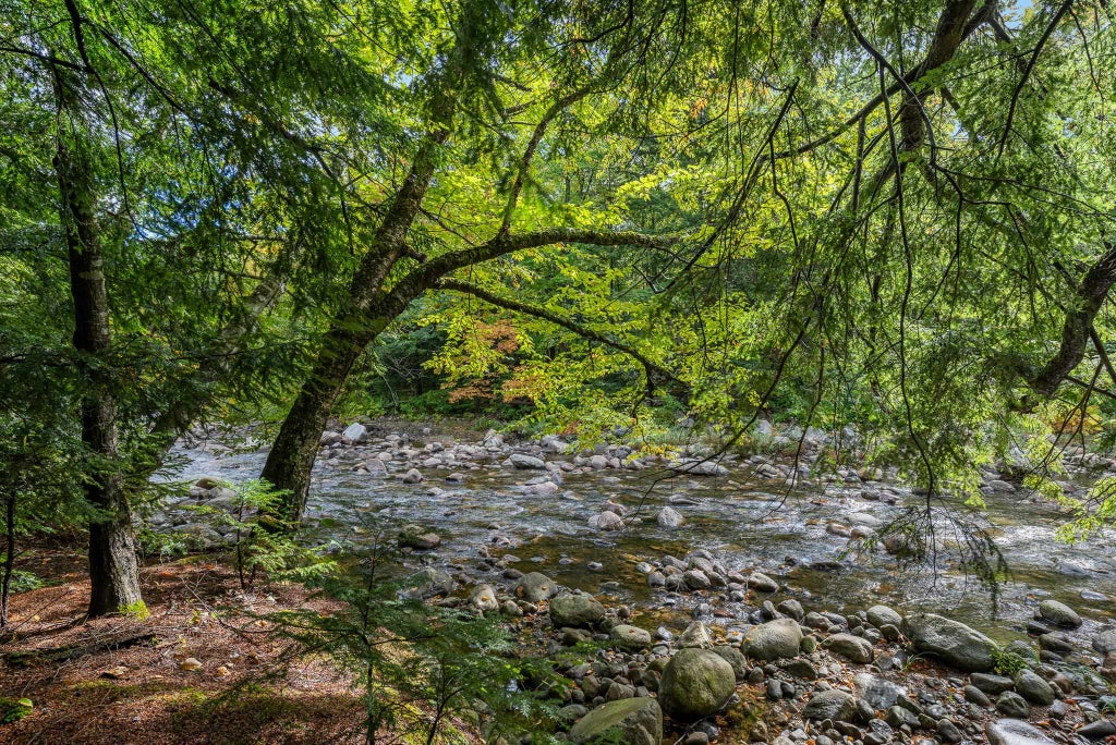 Photo of 161 Lancaster Road, Gorham, NH 03581 (MLS # 5111243)