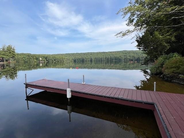 Photo of 75 Winter Road, Weare, NH 03281 (MLS # 5099775)