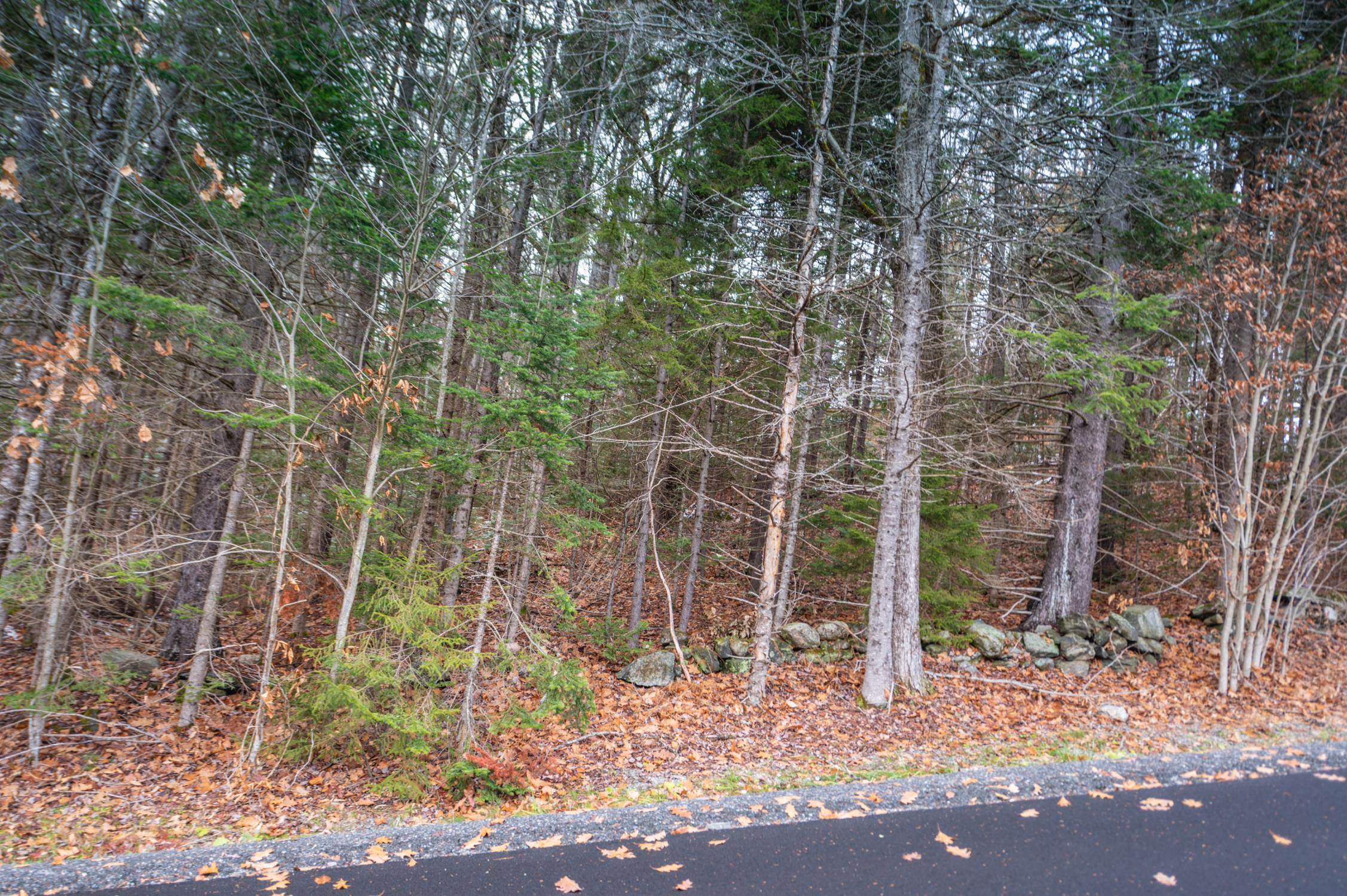 63 Villager Loop - Photo 2