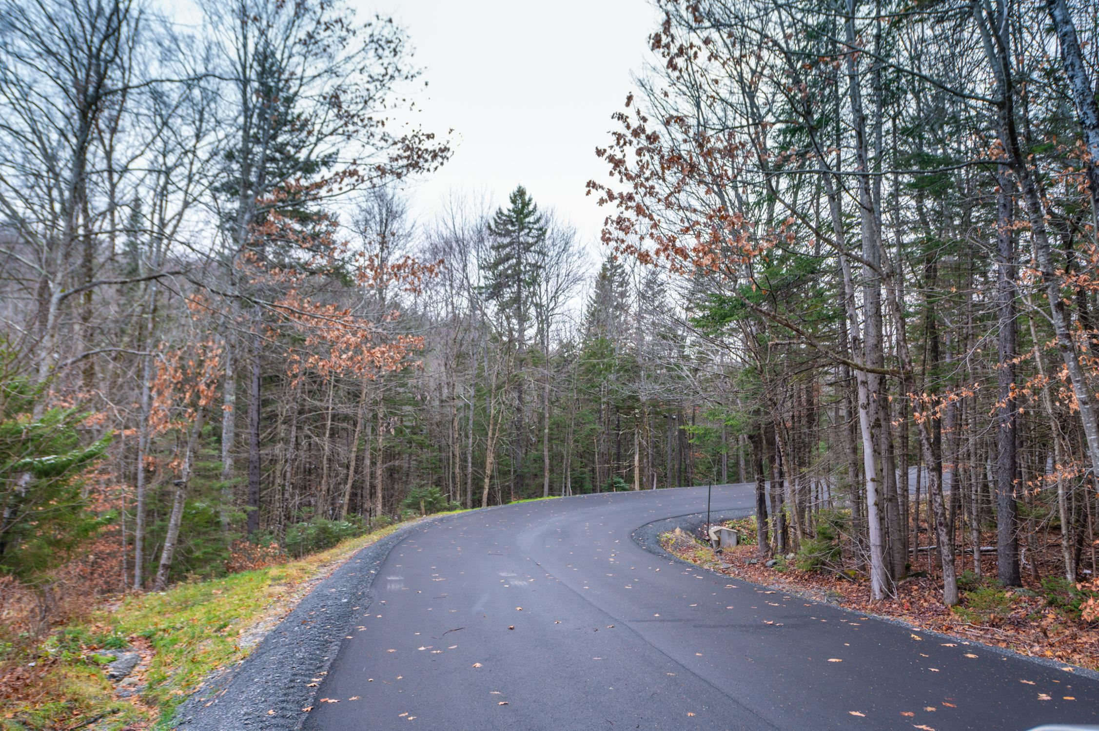 63 Villager Loop - Photo 3