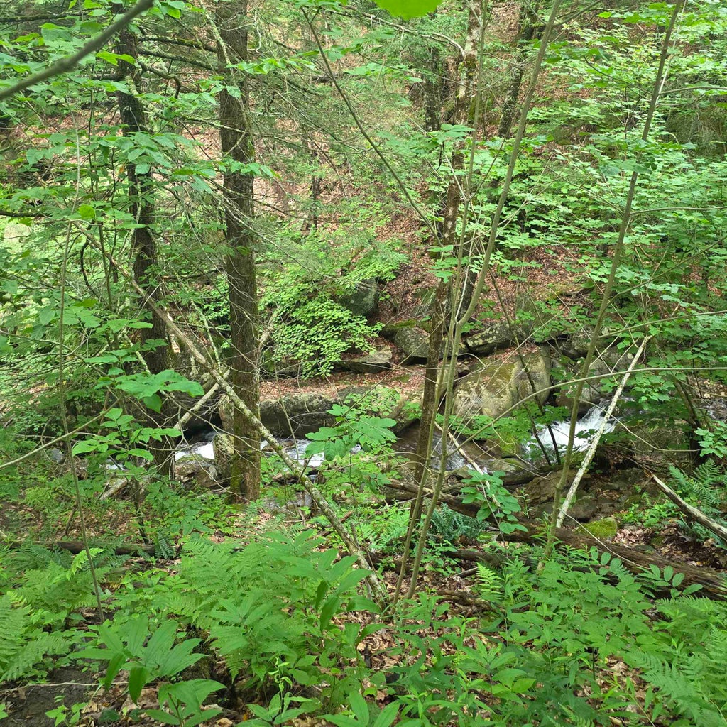 Photo of 4292 Joslin Road, Surry, NH 03431 (MLS # 5097913)