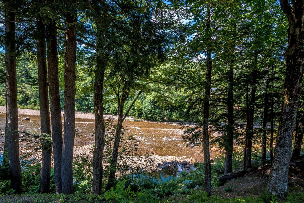 Photo of 12 Bartlett Place Road, Bartlett, NH 03812 (MLS # 5110221)