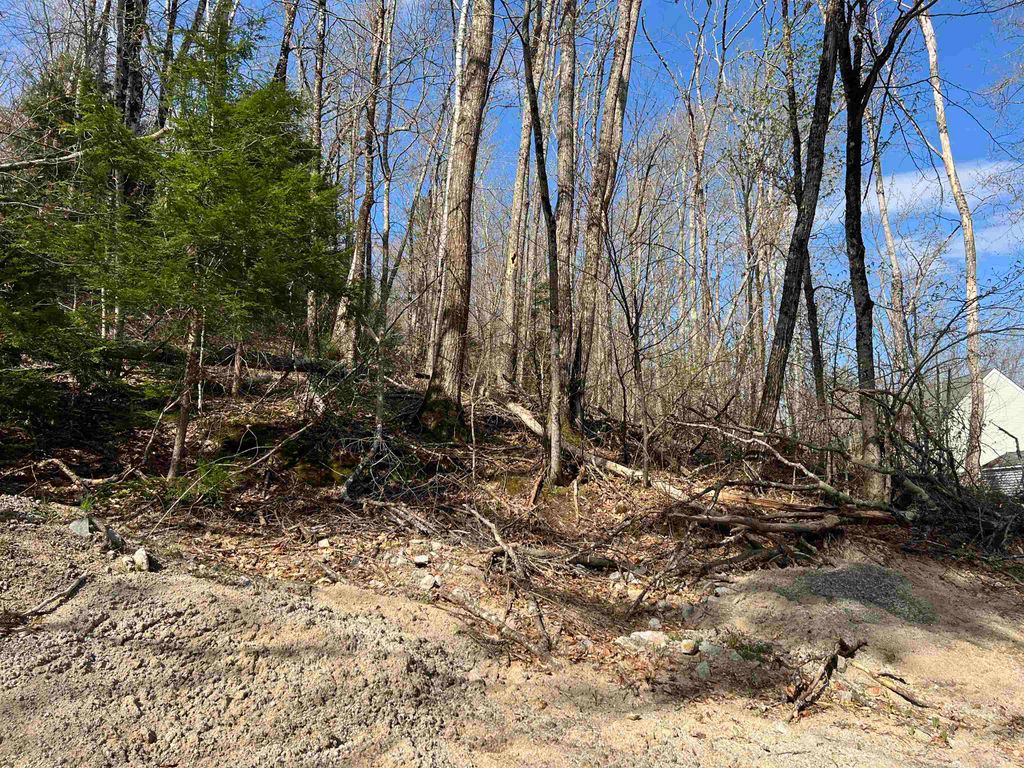 Photo of 00 Brookside Street, Conway, NH 03818 (MLS # 5086950)