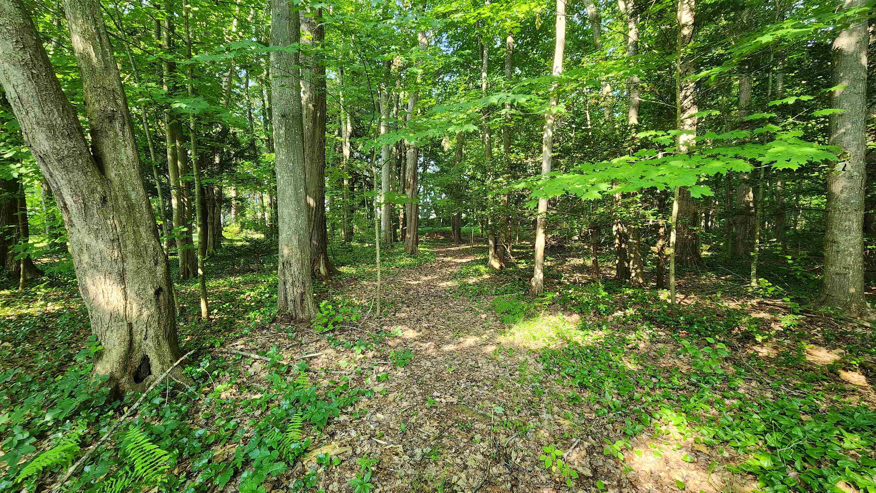 Towle Avenue Map 161 Lot 44