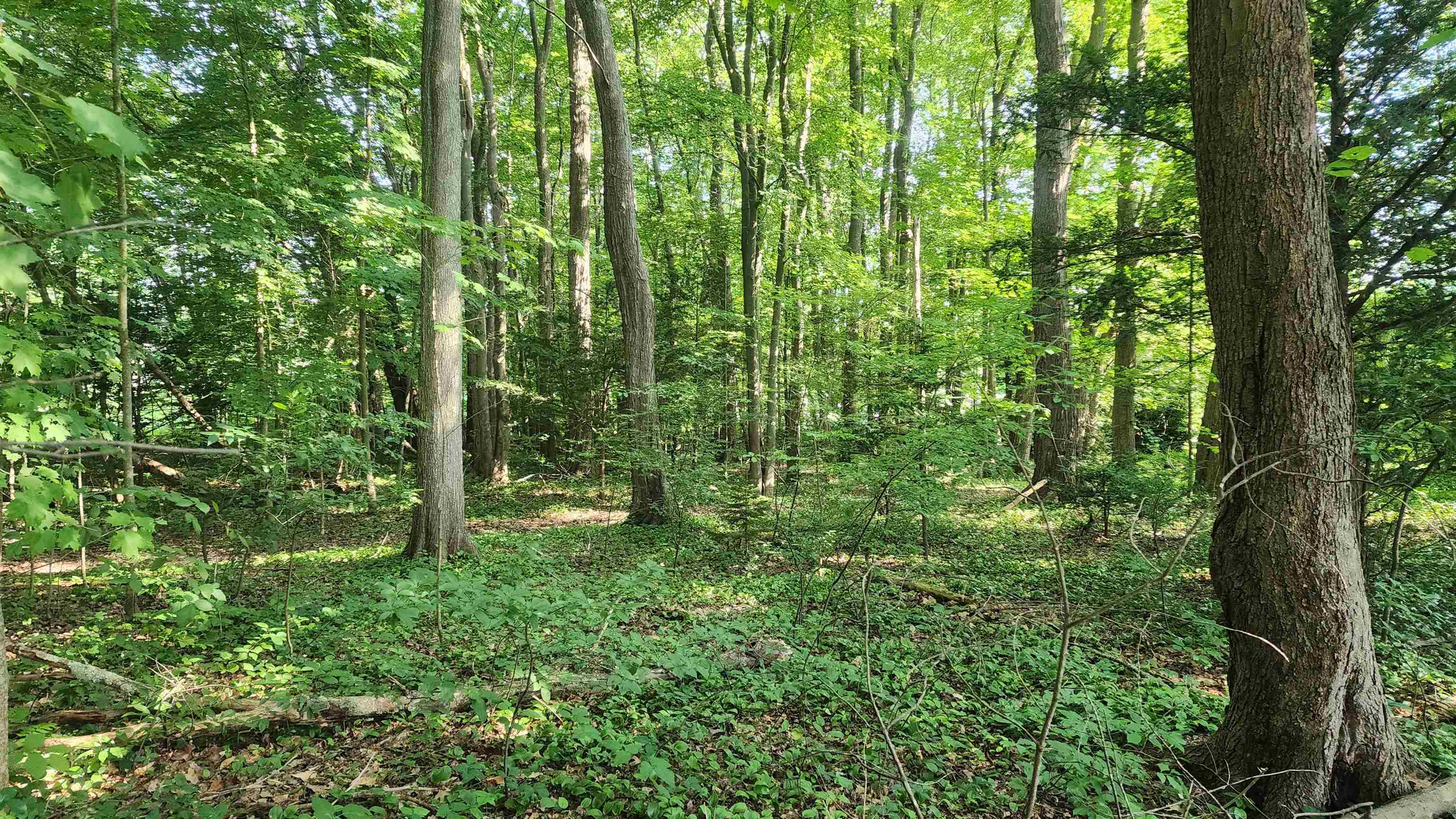 Towle Avenue Map 161 Lot 44