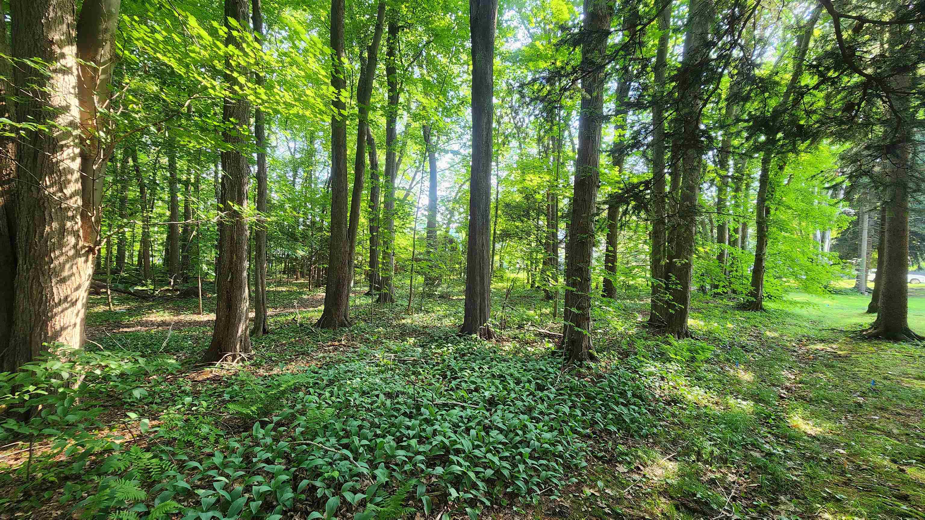 Towle Avenue Map 161 Lot 44