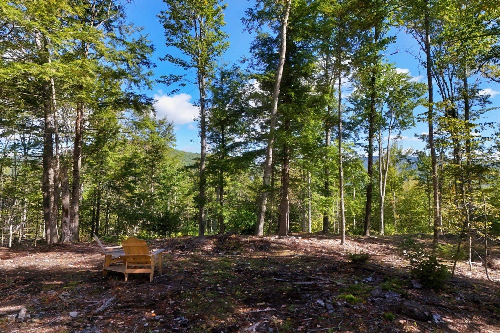 Photo of 1512107 Jacob Hall Farm Road, Rumney, NH 03266 (MLS # 5111704)