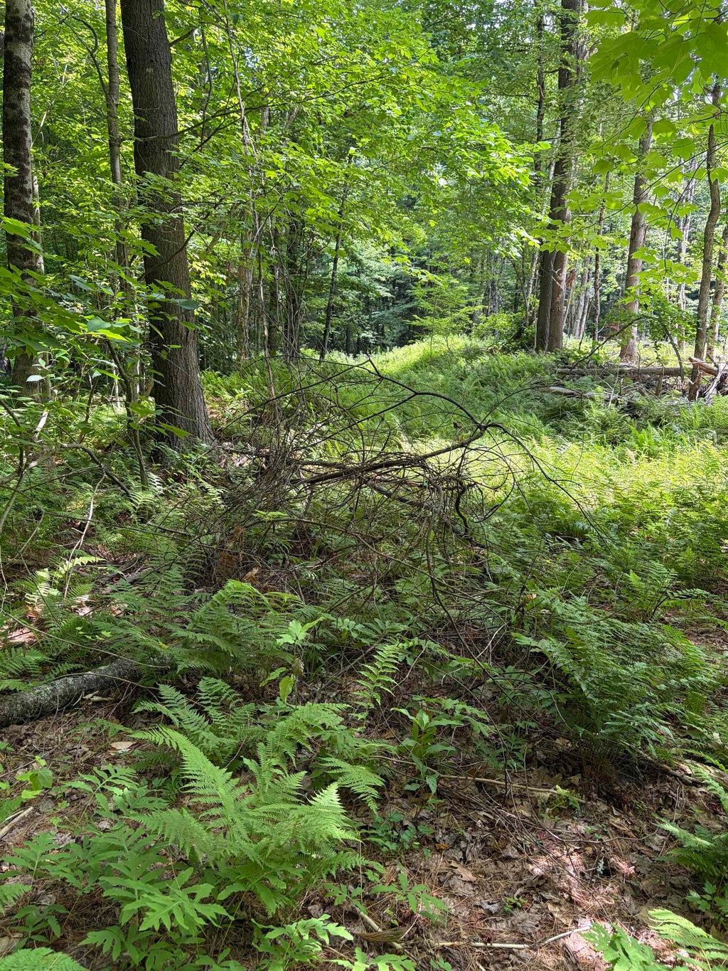 Photo of 100 Ledge Road, Lisbon, NH 03585 (MLS # 5099140)