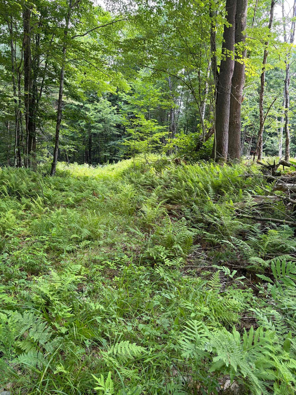 Photo of 100 Ledge Road, Lisbon, NH 03585 (MLS # 5099140)