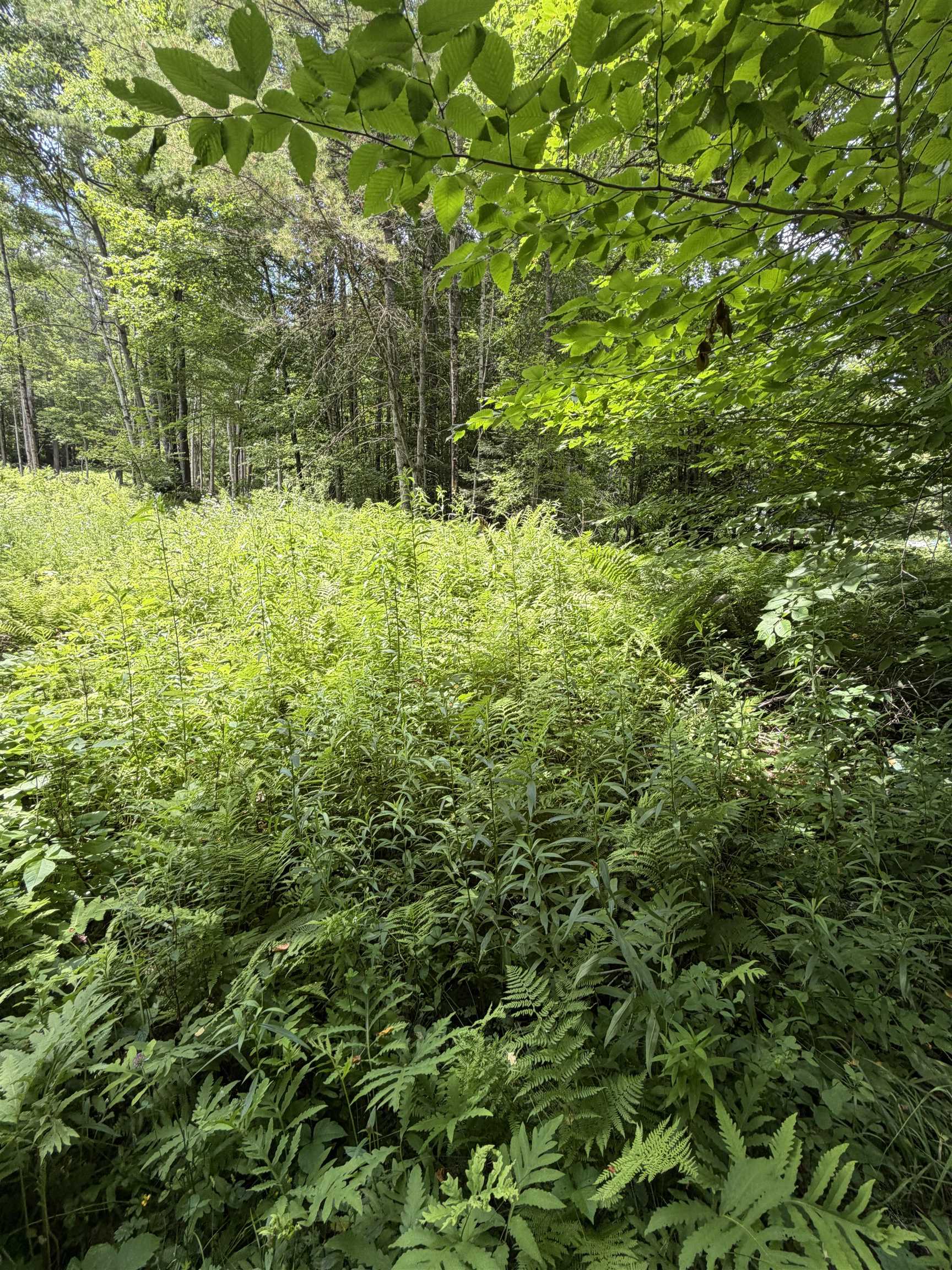 Photo 1 of 9 — 100 Ledge Road, Lisbon, NH 03585