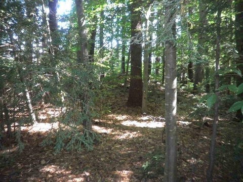 Featured picture for the property 5101318