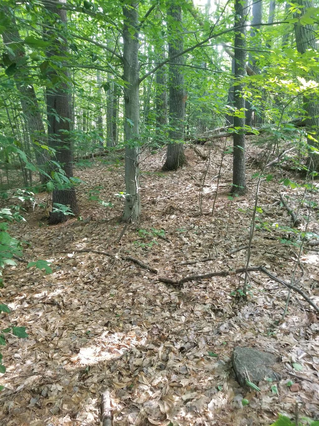 Photo of Hogg Hill Road, Bradford, NH 03221 (MLS # 5101318)