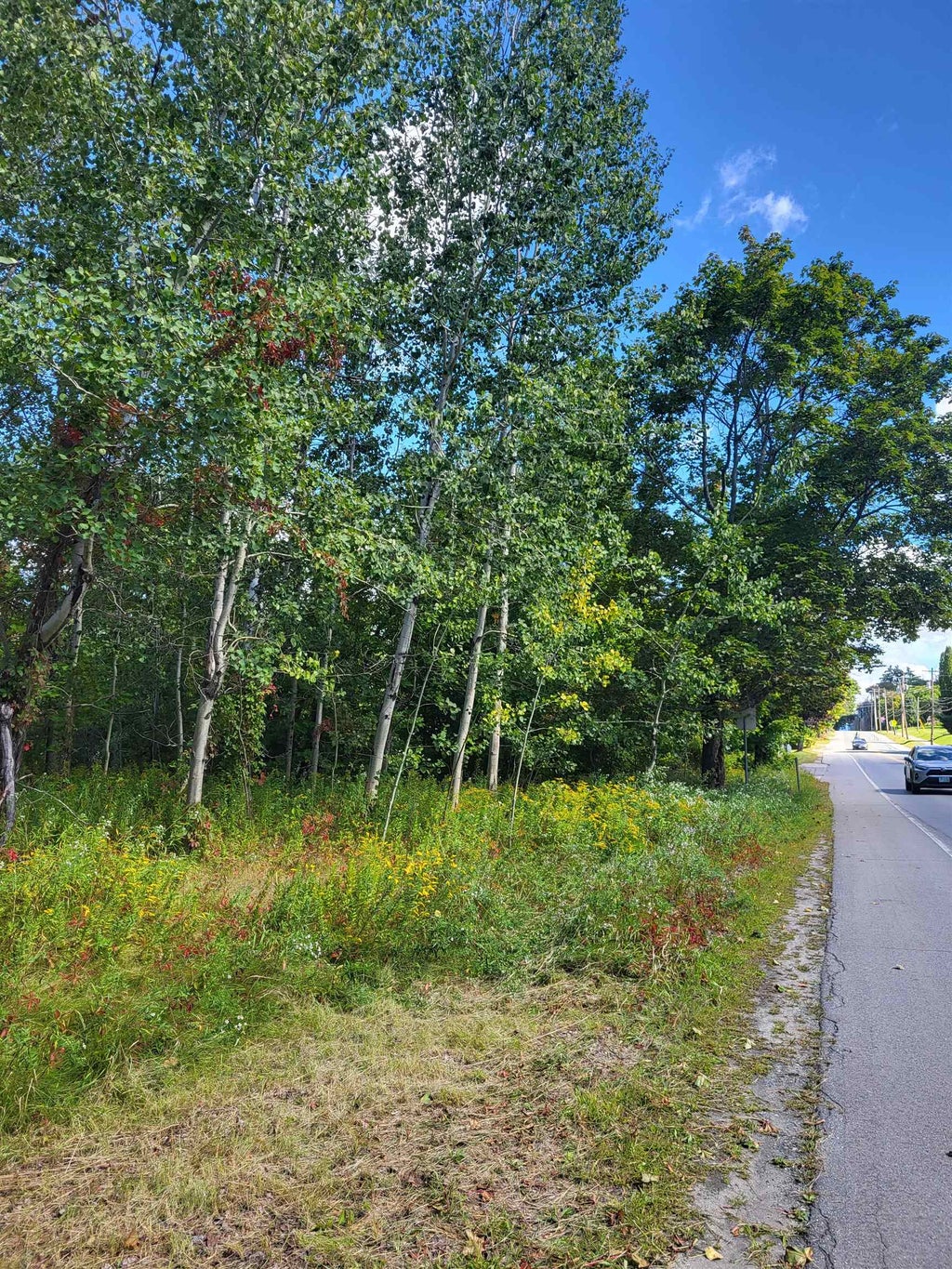 Photo of 0 Main Street #TM 206/Parcels 20 &amp;, Bethlehem, NH 03574 (MLS # 5108505)