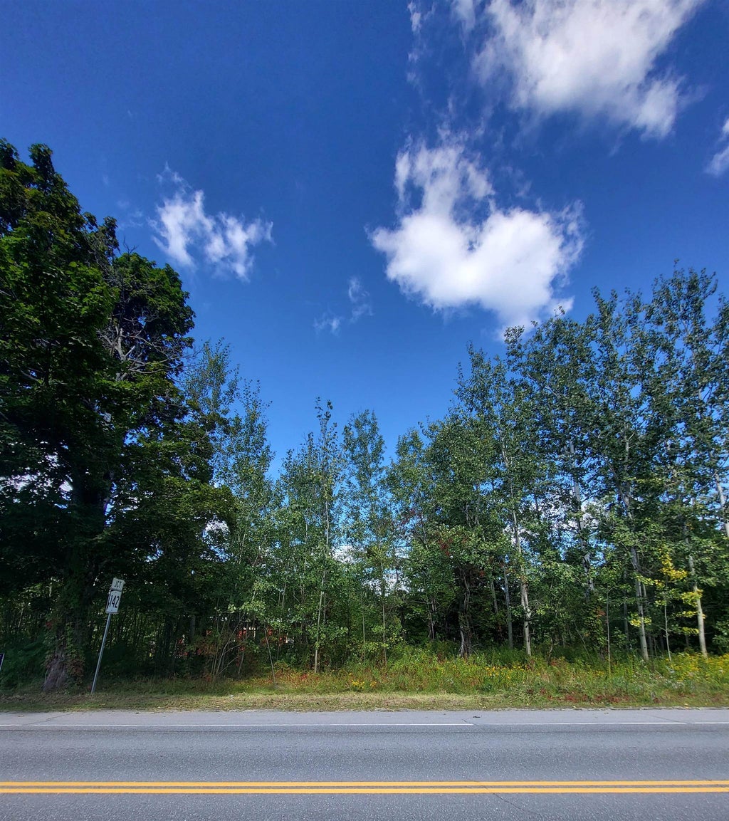 Photo of 0 Main Street #TM 206/Parcels 20 &amp;, Bethlehem, NH 03574 (MLS # 5108505)