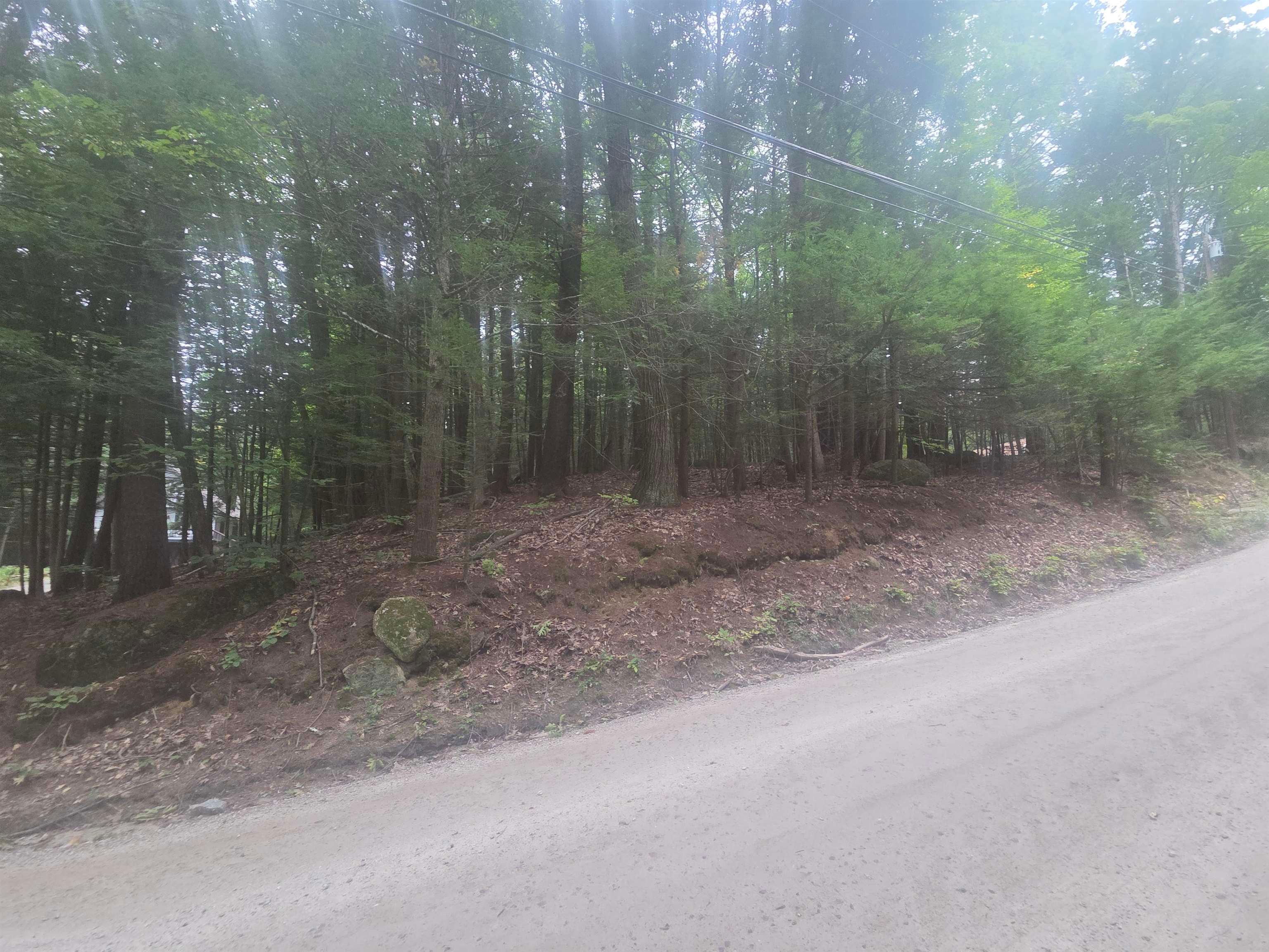 Map 09 Lot 30 Gould Pond Road