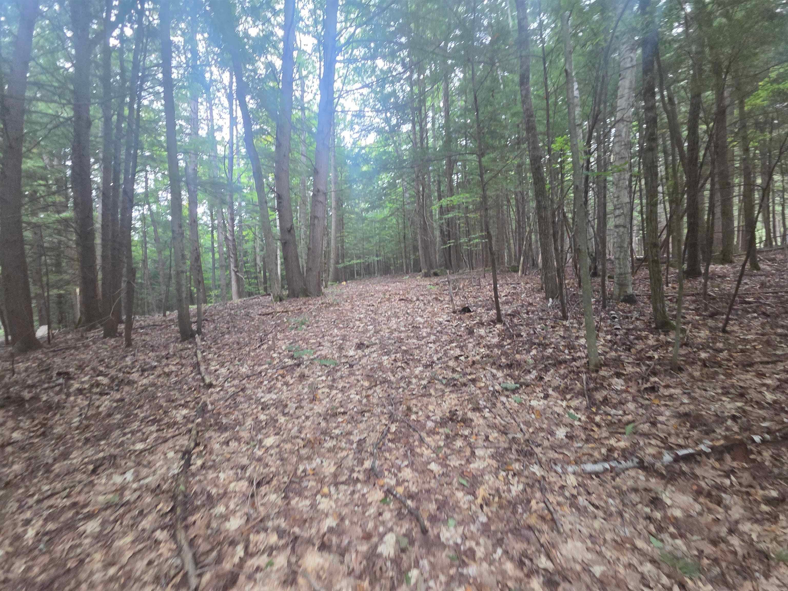 Map 09 Lot 30 Gould Pond Road