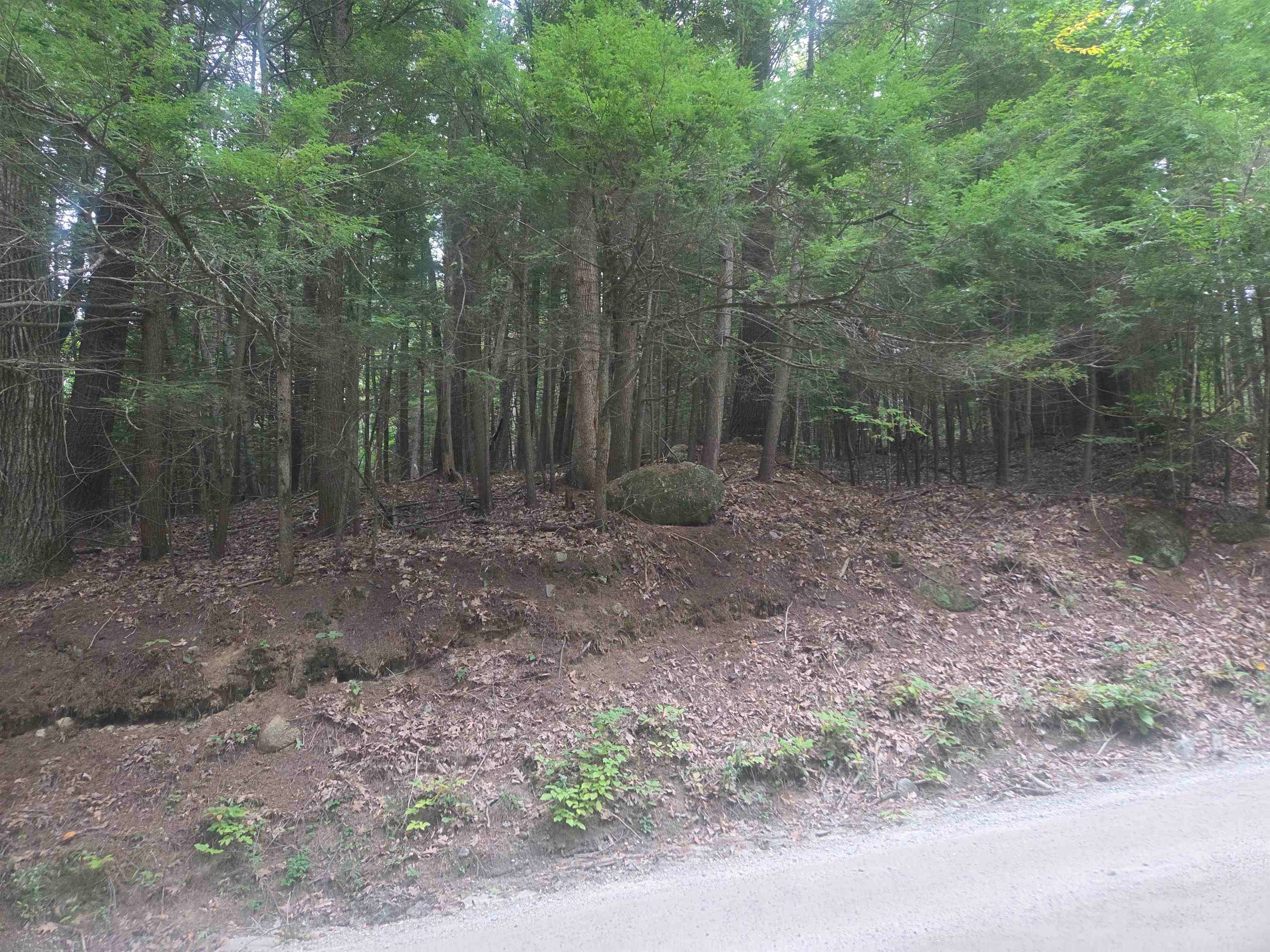 Map 09 Lot 30 Gould Pond Road