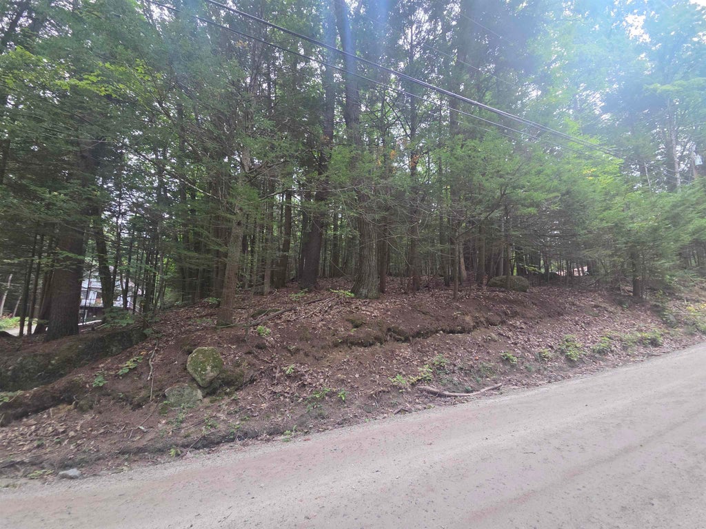 Photo of 930 Gould Pond Road, Hillsborough, NH 03244 (MLS # 5110971)