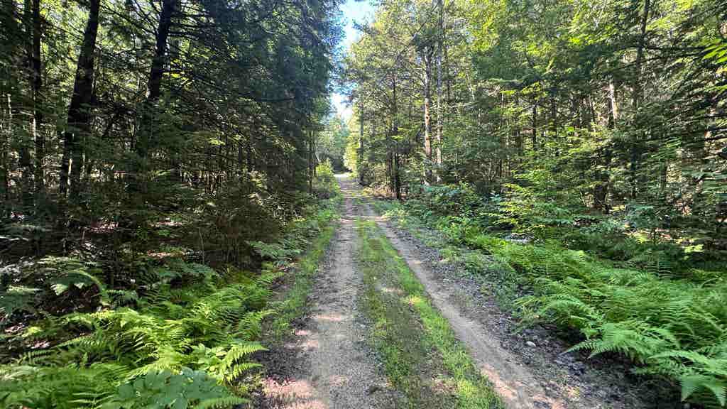 Photo of 78 Valley Road, New Durham, NH 03855 (MLS # 5104407)