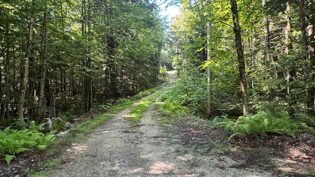 Photo of 78 Valley Road, New Durham, NH 03855 (MLS # 5104407)