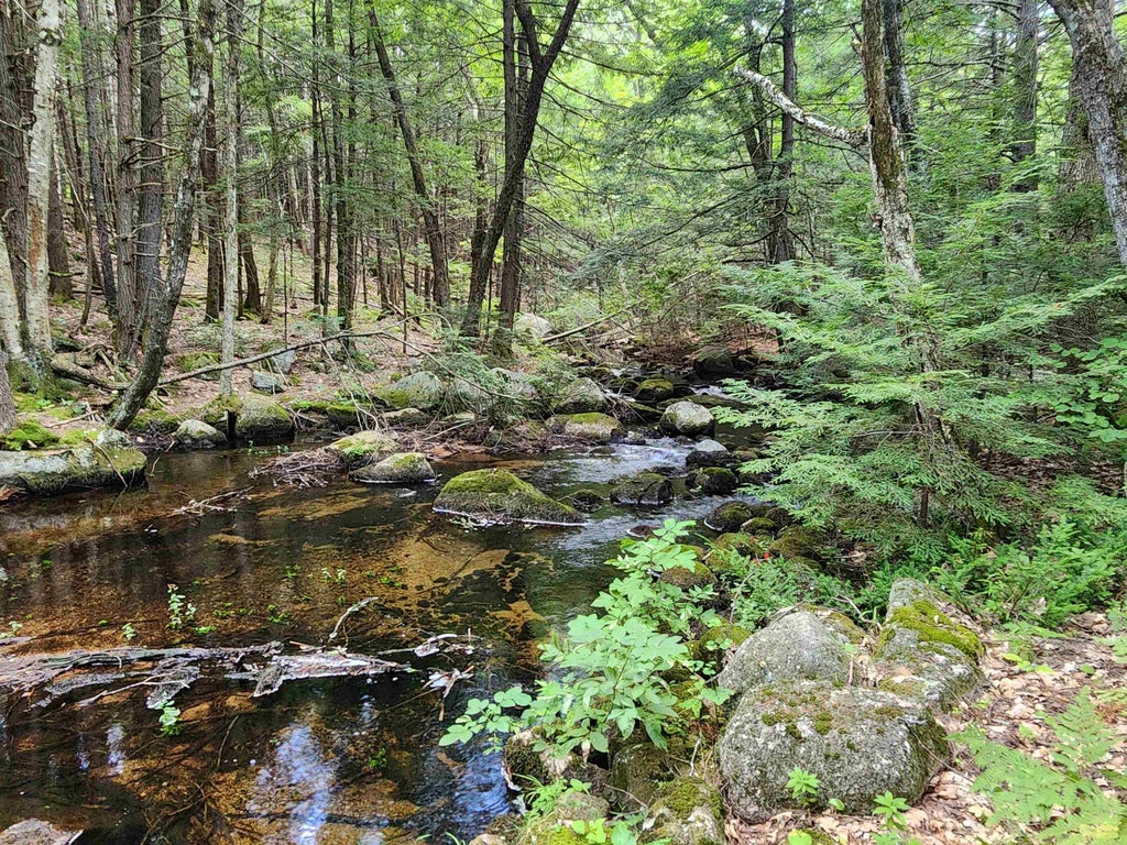 Photo of 1915 NH Route 16, Albany, NH 03818 (MLS # 5104942)