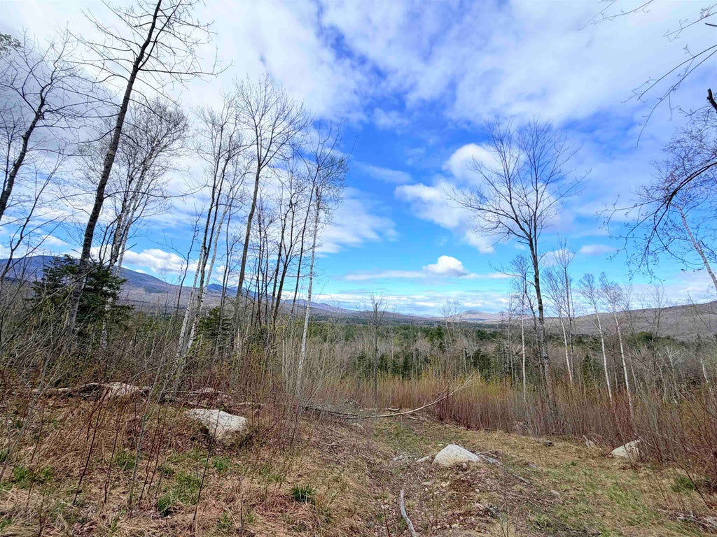 Photo of 00 Route 3 North #43 &amp; 46, Carroll, NH 03595 (MLS # 5114052)