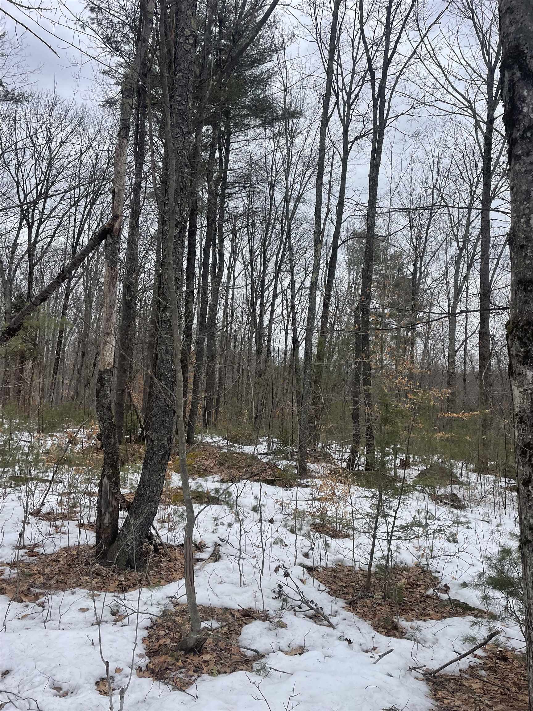 Lot 13-9 E Washington Road