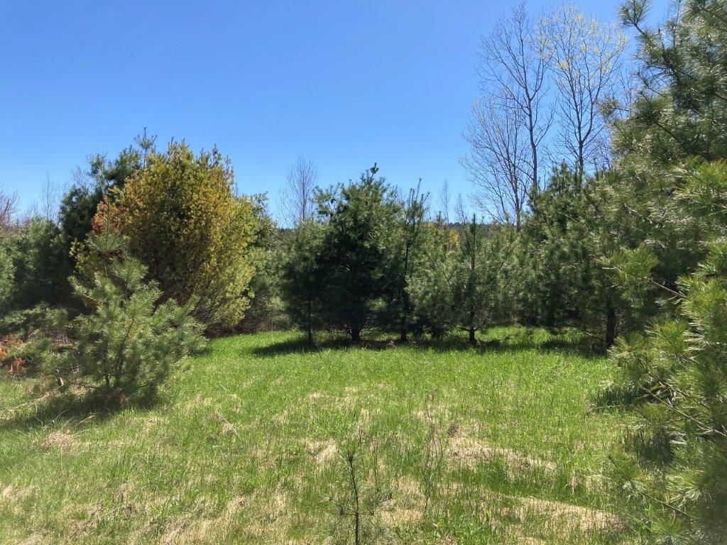 Photo of 0 US Route 4, Canaan, NH 03741 (MLS # 5076006)