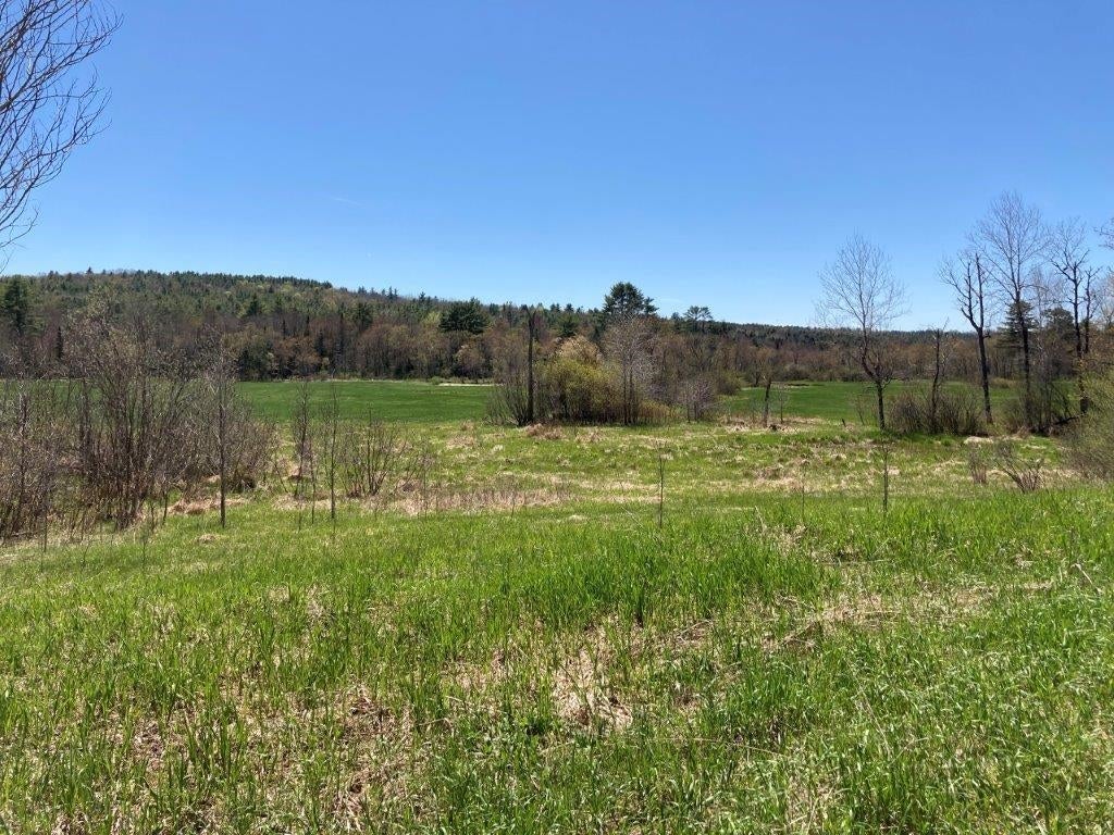 Photo of 0 US Route 4, Canaan, NH 03741 (MLS # 5076006)