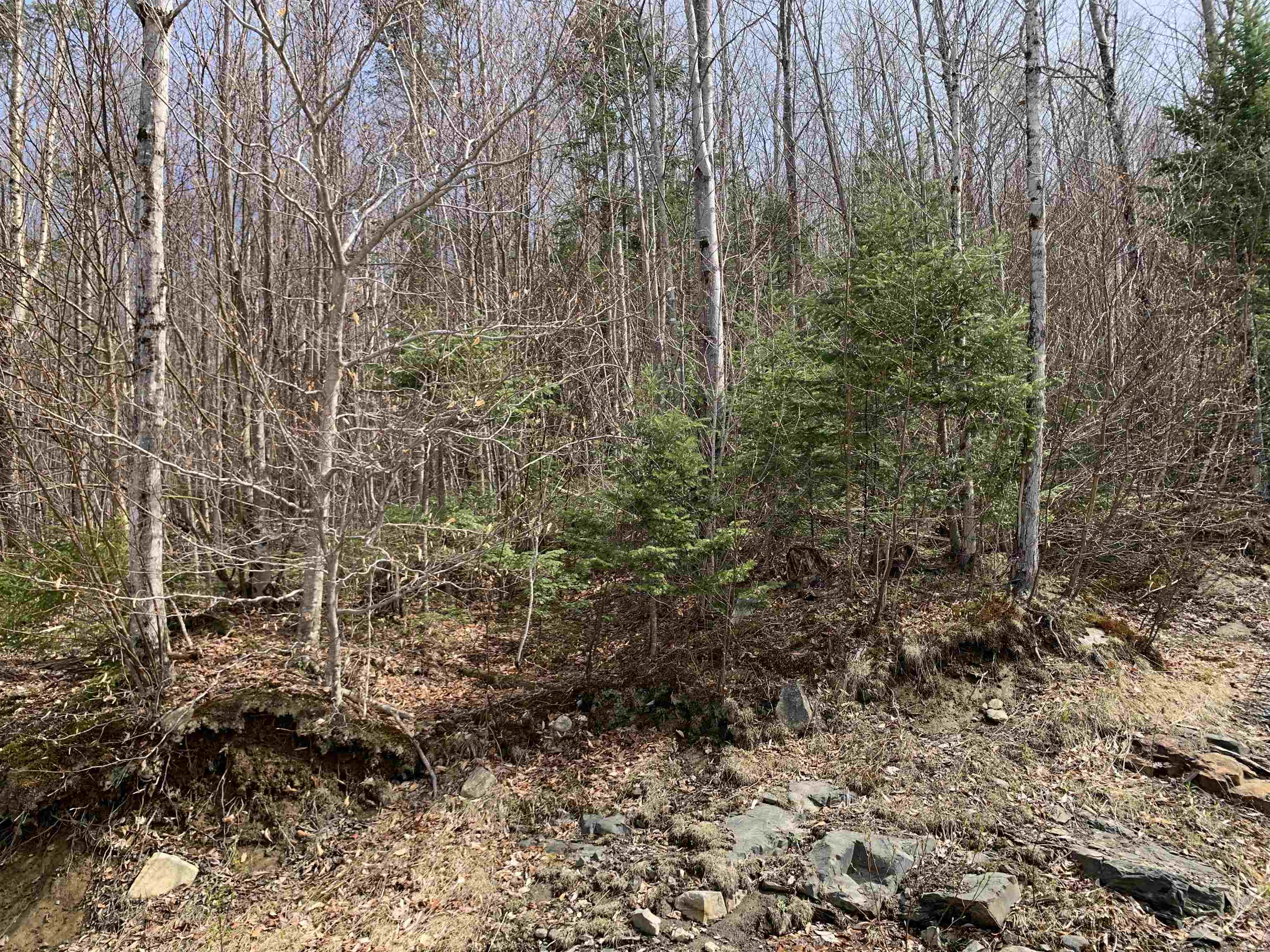 Lot 22.4 Washburn Road