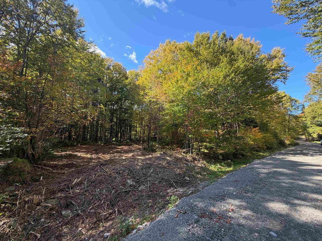 Photo of 10 Wood Yard Crossing, Pittsburg, NH 03592 (MLS # 5110117)