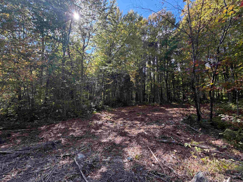 Photo of 10 Wood Yard Crossing, Pittsburg, NH 03592 (MLS # 5110117)