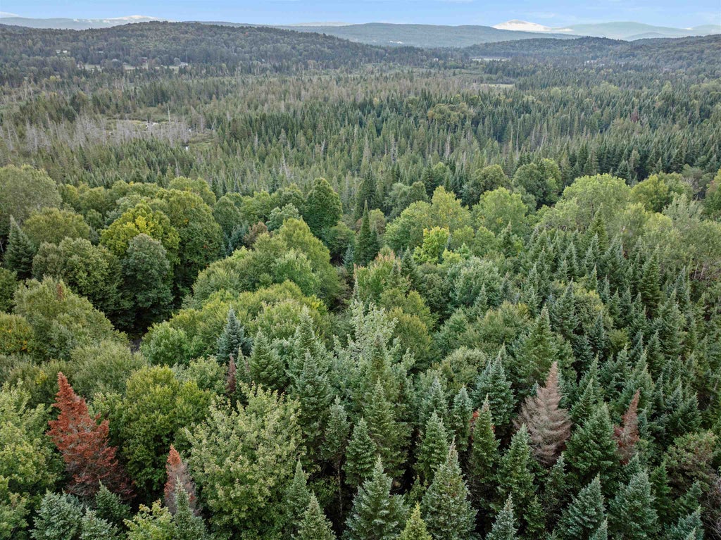 Photo of 10 Wood Yard Crossing, Pittsburg, NH 03592 (MLS # 5110117)