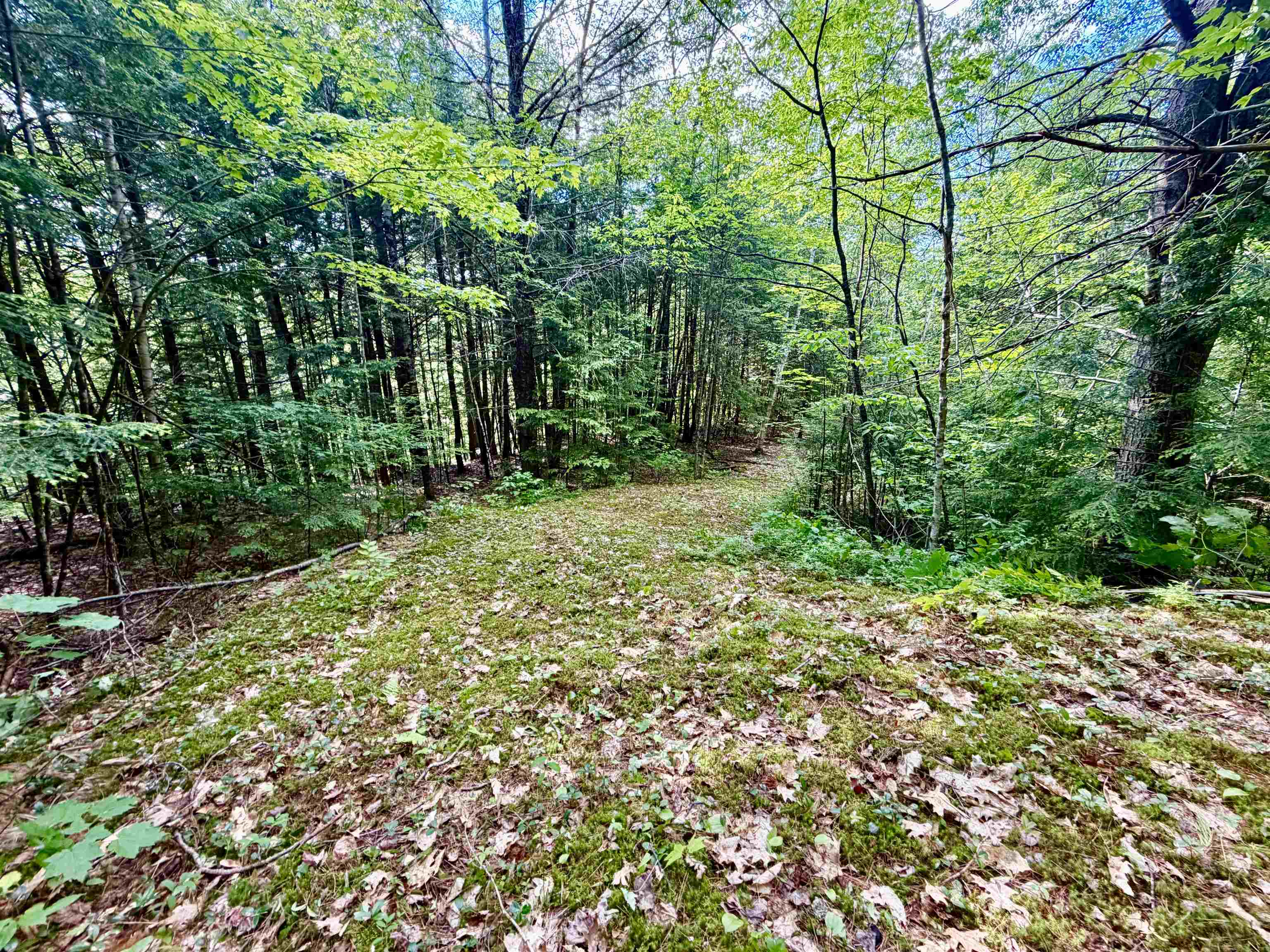 NH Route 175