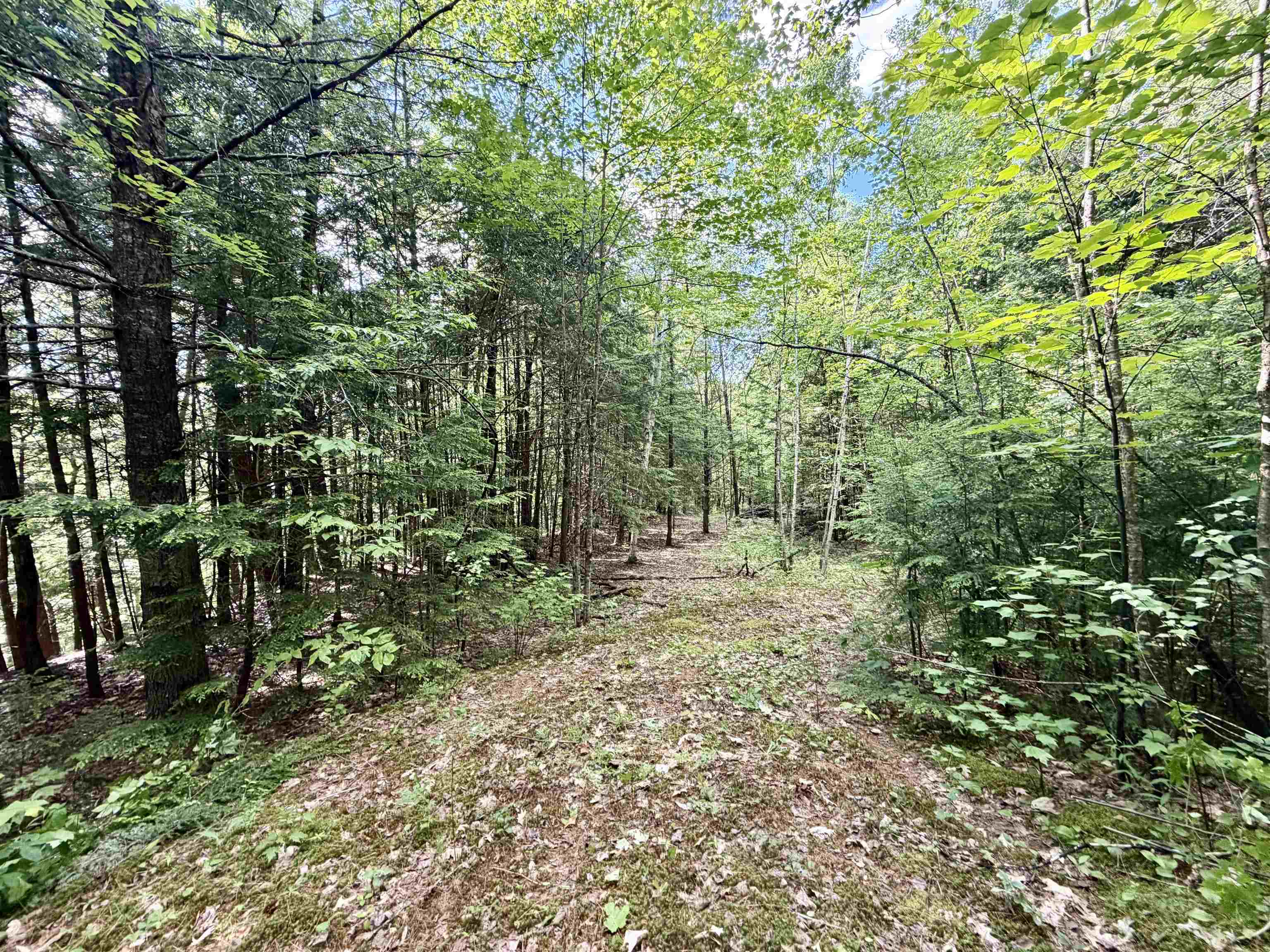 NH Route 175