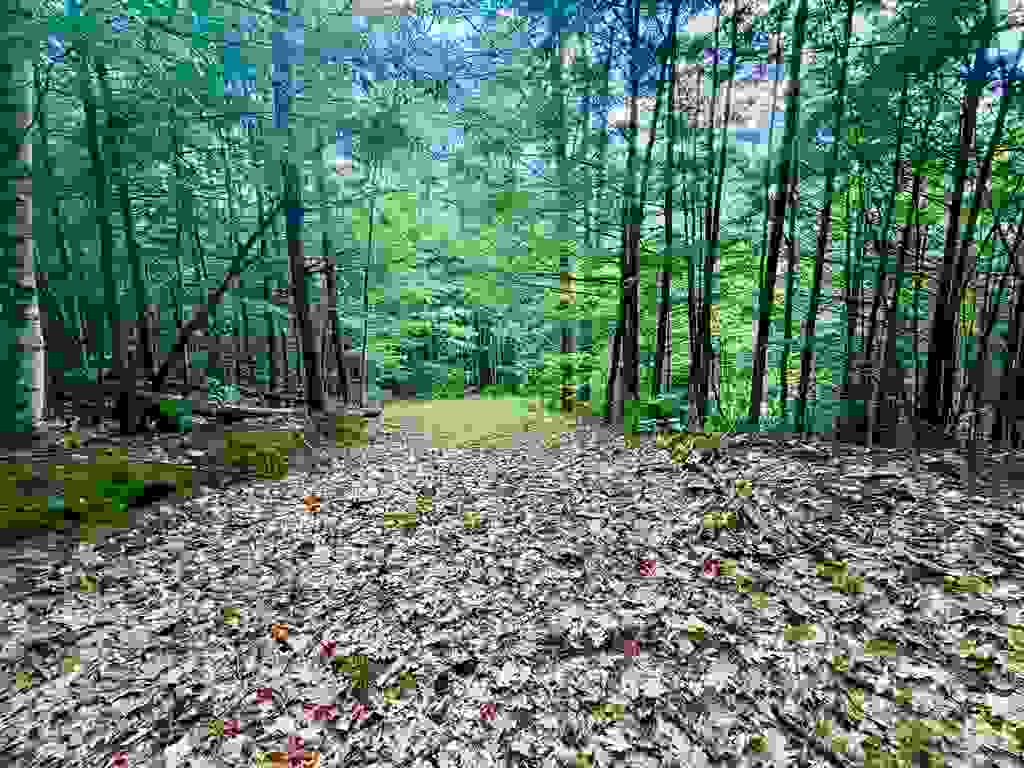 Photo of NH Route 175, Campton, NH 03223 (MLS # 5095607)