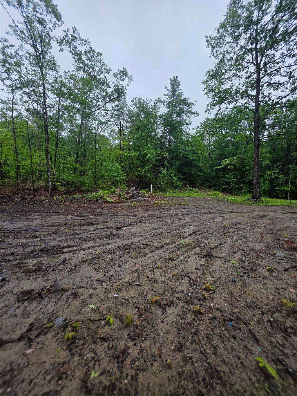 Photo of 84 Texas Hill Road, Plymouth, NH 03264 (MLS # 5095661)